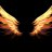 Wings77